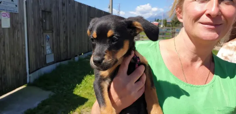 Zelda