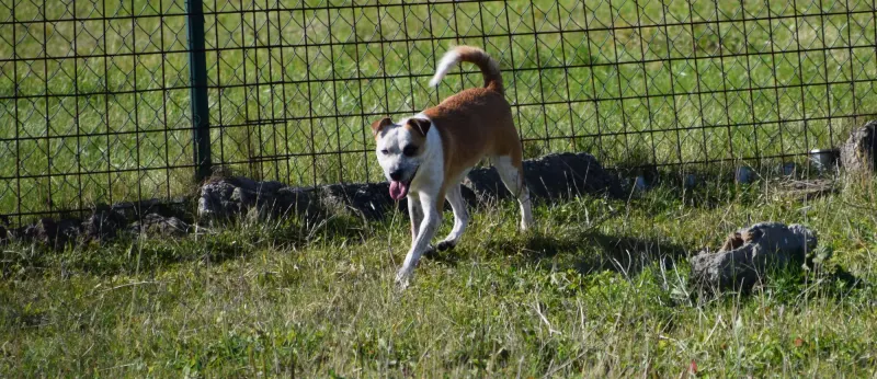 Zimba