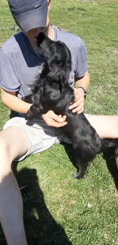 Zorka