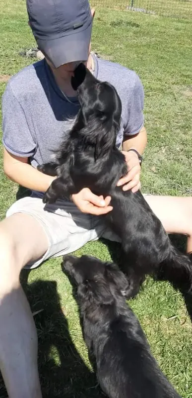 Zorka