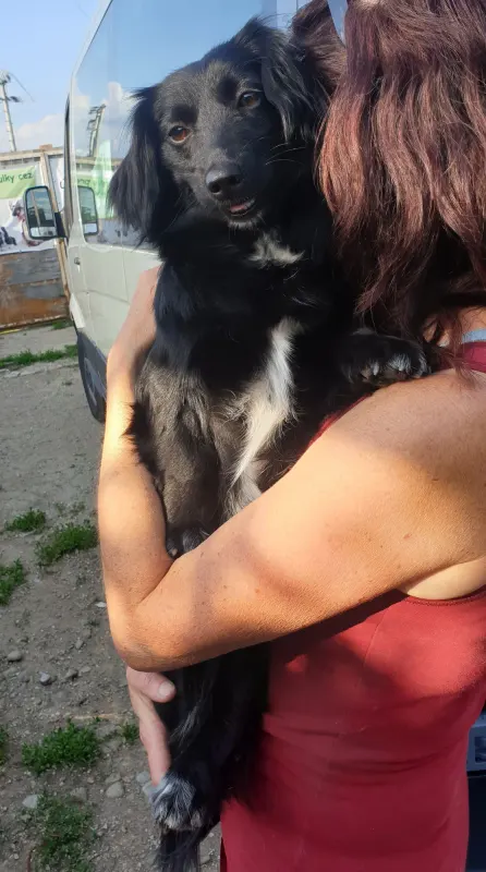 Zorka