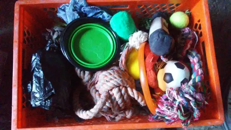 Spendentransport TordasZoo – Bild 9
