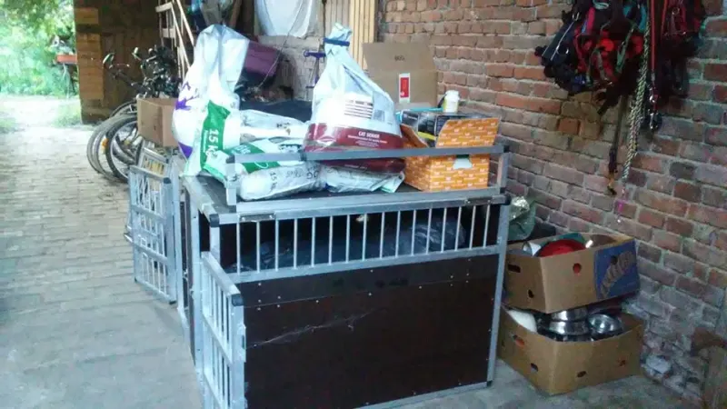 Spendentransport TordasZoo – Bild 6