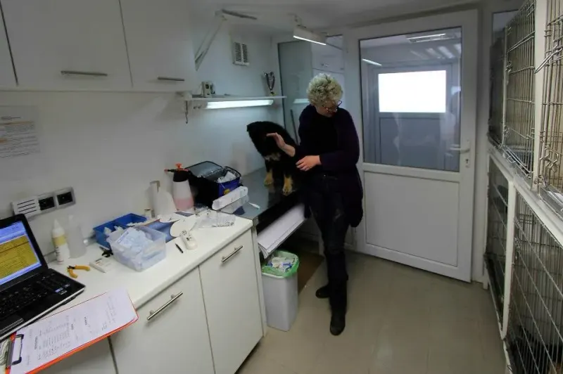 Einblick in das Bosnien-Projekt – Bild 3