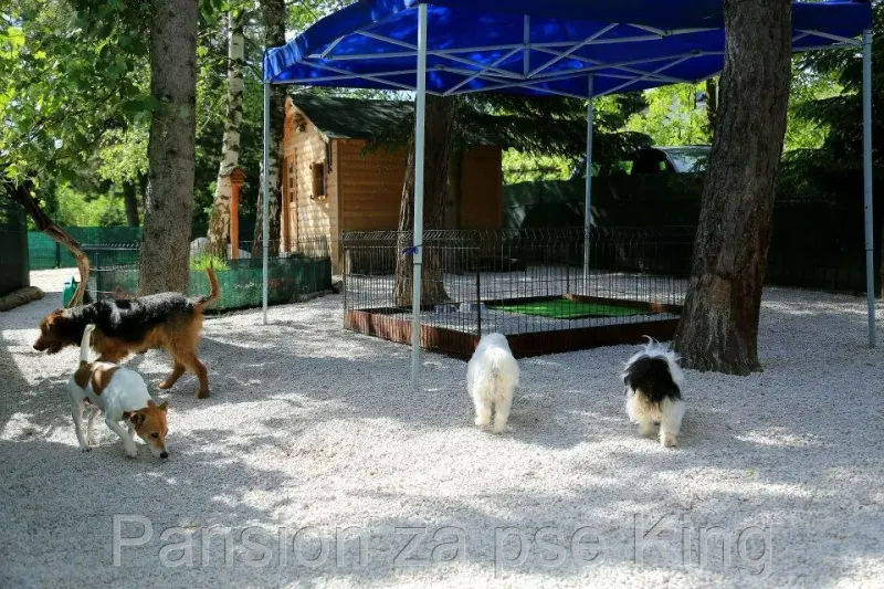 Einblick in das Bosnien-Projekt – Bild 6