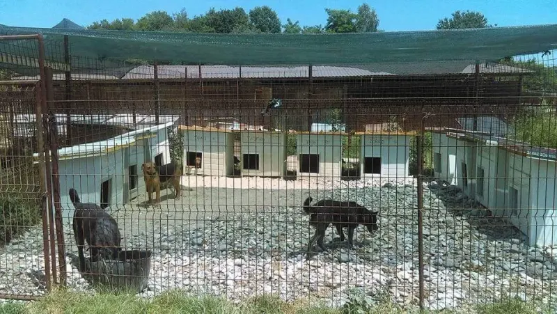 Einblick in das Bosnien-Projekt – Bild 15