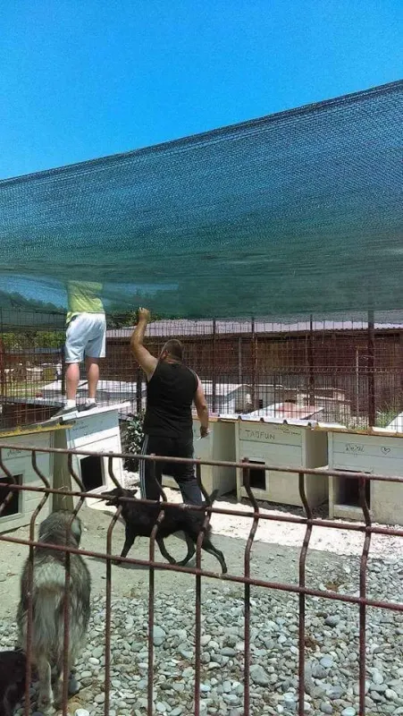 Einblick in das Bosnien-Projekt – Bild 16