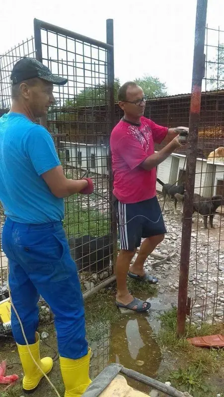 Einblick in das Bosnien-Projekt – Bild 23