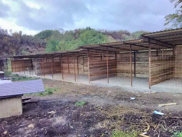 Einblick in das Bosnien-Projekt – Bild 26