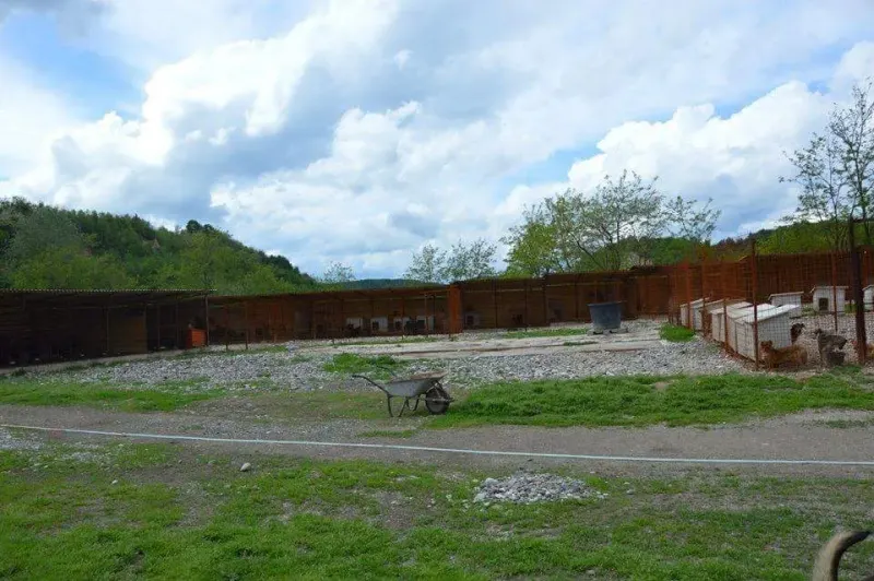 Einblick in das Bosnien-Projekt – Bild 9