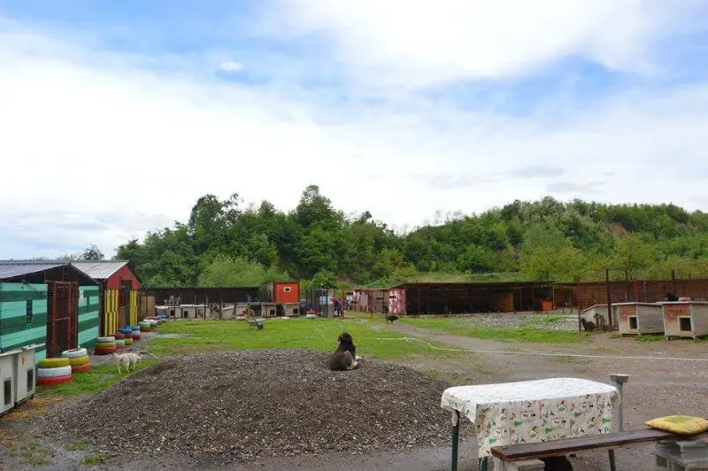 Einblick in das Bosnien-Projekt – Bild 11