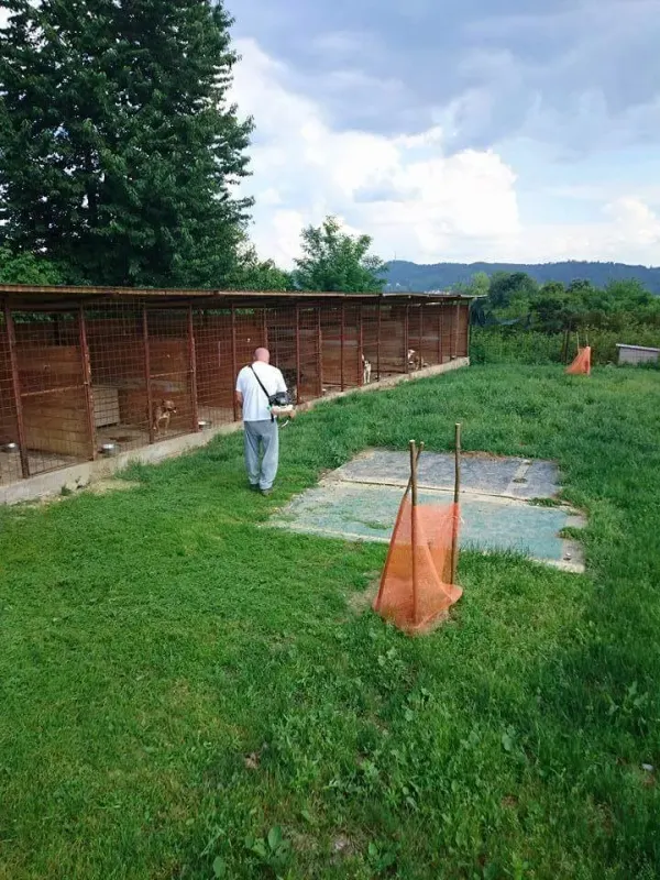 Einblick in das Bosnien-Projekt – Bild 13