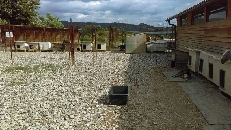 Einblick in das Bosnien-Projekt – Bild 14